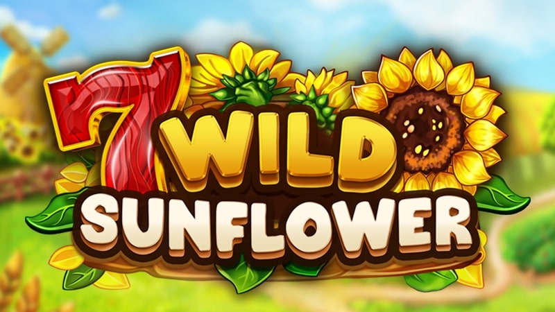 Wild Sun Flower Cover