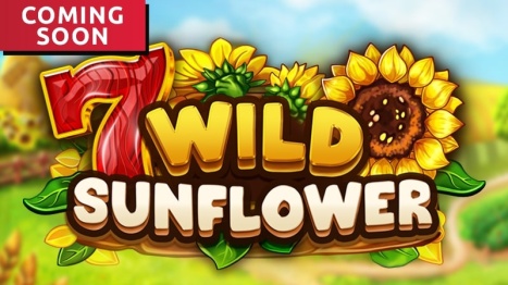 Wild Sunflower